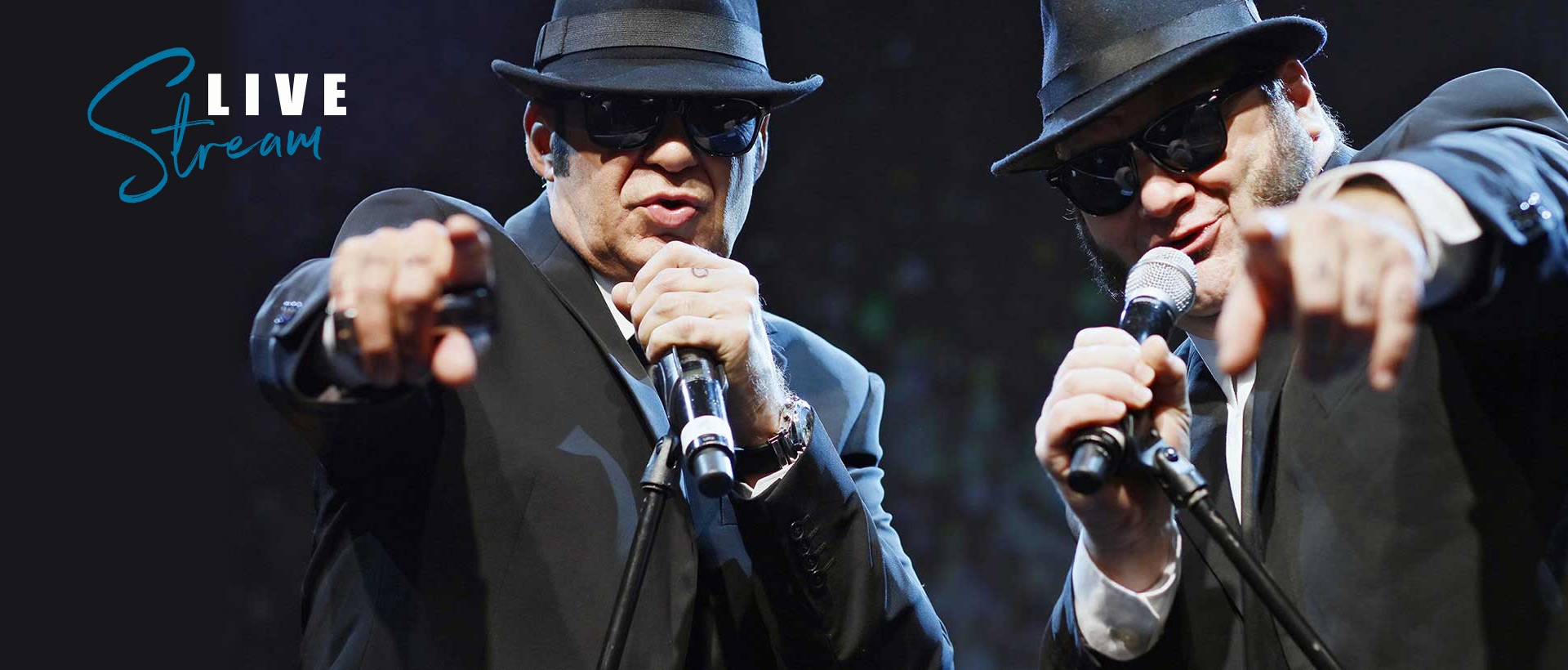 In Ihrem Wohnzimmer: Die Blues Brothers